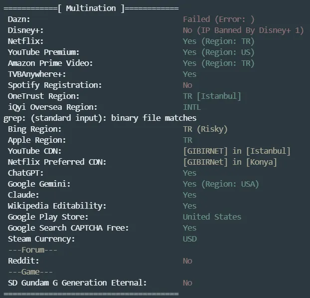 流媒体解锁测试截图